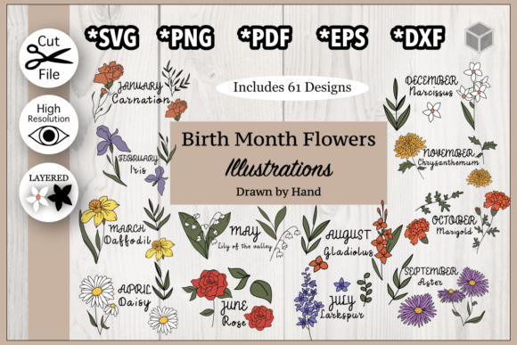 Birth Month Flowers Illustrations Bundle: Graphics & Illustrations