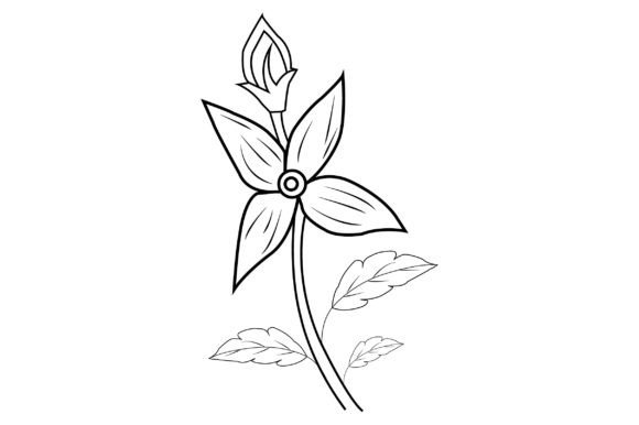 Black Outline Drawing Flowers Review