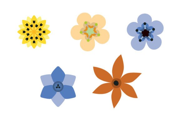 Cute Flowers Naturals: A Fresh Graphics & Illustrations Review
