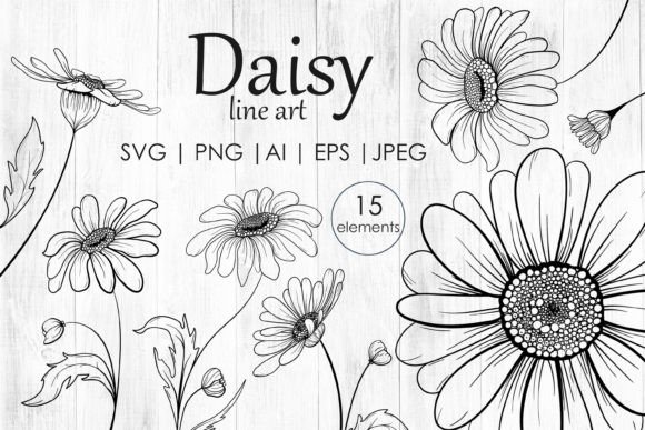 Daisy Flowers Line Art SVG