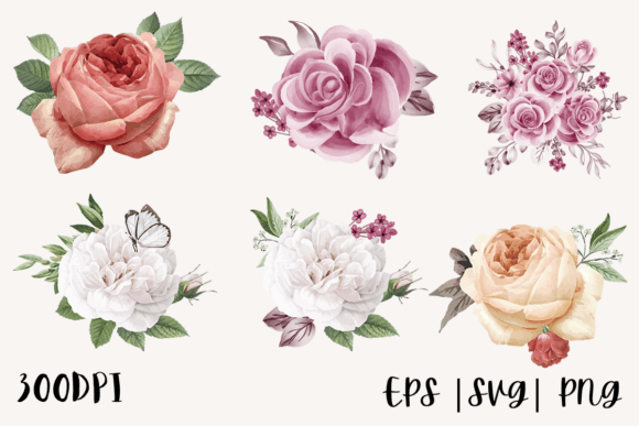 Decorative Watercolor Roses PNG Bundle: Illustrations & Graphics for Local Branding