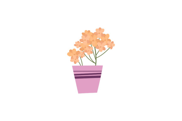 Flowers Daisy Illustration: Graphics & Illustrations for Brand Warmth