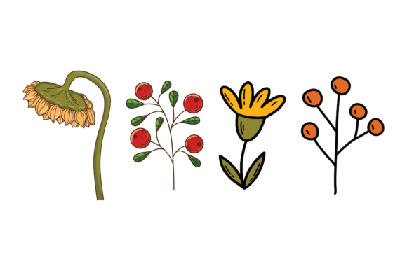 Flowers Isolated on a White Background: Graphics & Illustrations for Real Projects