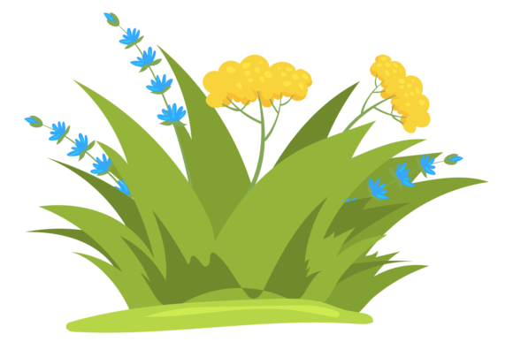 Green Grass Patch with Blooming Flowers Graphics and Illustrations Review