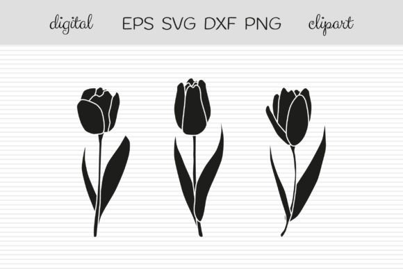 Hand Drawn Black Tulip Flowers