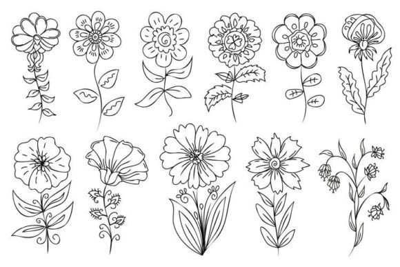 Outline Decorative Flowers: Clean Graphics & Illustrations