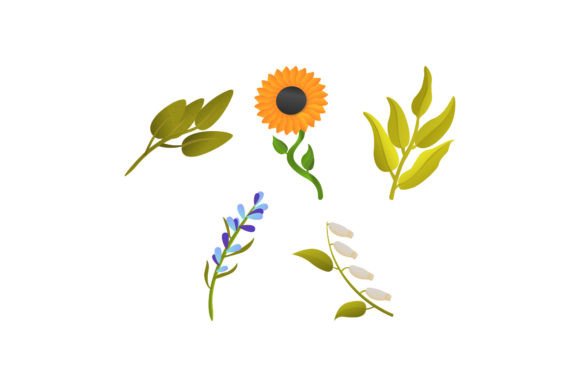 Plant Flowers: A Graphic Design Asset Review for Modern Illustrations