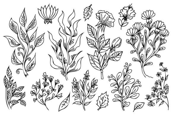 Plants and Flowers: A Designer's Review of These Graphics