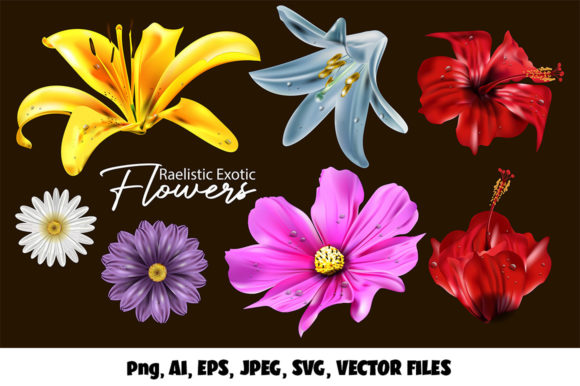 Realistic Exotic 3D Flowers Vector Set: Graphics & Illustrations