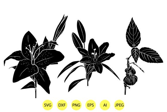 Silhouette of Lily Flowers Illustrations: Graphics & Illustrations for Sellers