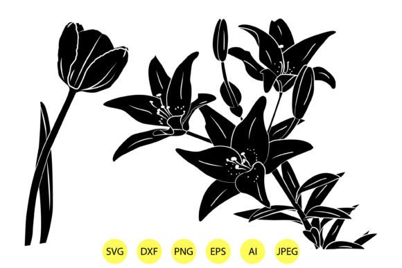 Silhouette of Lily Flowers Vector: Graphics & Illustrations Review