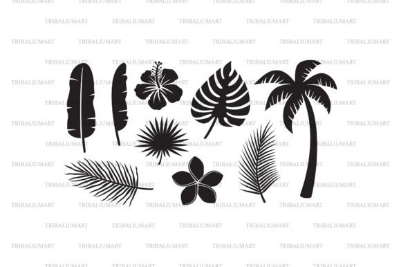 Tropical Leaves, Flowers and Plants: A Designer's Real-World Review
