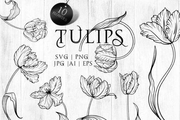 Tulips Flowers SVG Line Art: Graphics & Illustrations for Local Branding