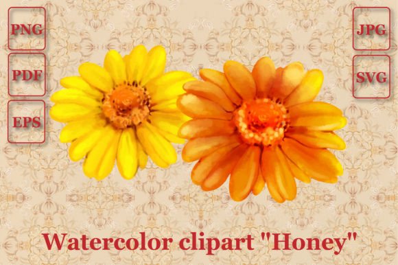Two Daisy Flowers Watercolor Vector Graphics for Illustrations